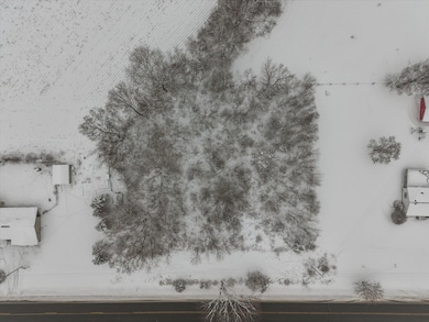 V-L Michigan 62, Edwardsburg, MI 49112 - photo 2