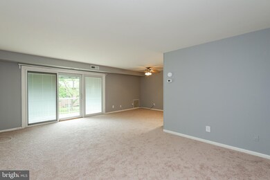 103 Fitz Ct unit 104, Reisterstown, MD 21136 - photo 7
