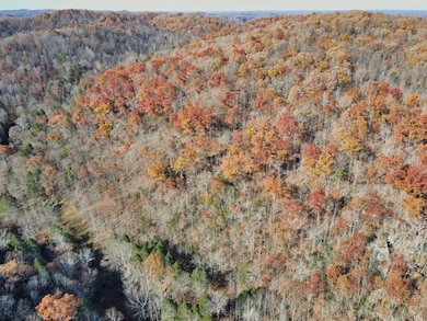 Threemile Creek Rd Lot unit Wp001, Louisa, KY 41230 - photo 4