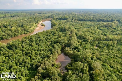 0 Dead River Rd Glenwood unit Ga., Glenwood, GA 30428 - photo 7