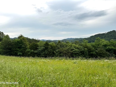 0 Licklog Hollow Rd, Sevierville, TN 37876 - photo 5