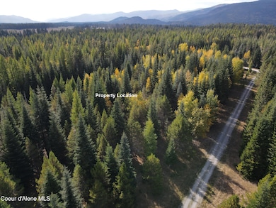 Aerial Overhead