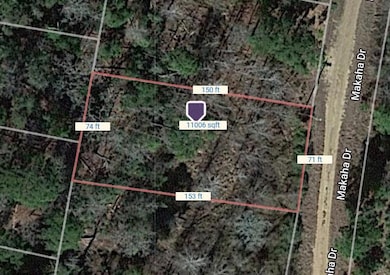 Lot 233 Makaha Dr, Bastrop, TX 78602 - photo 7