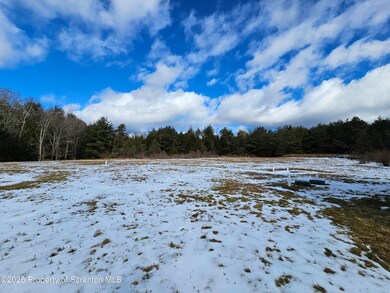 22 Suetta Ln, Covington Township, PA 18444 - photo 6