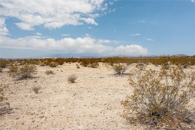 2650 Delaware Ave, Joshua Tree, CA 92252 - photo 6