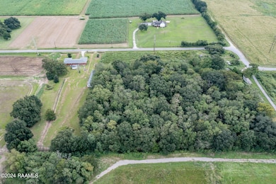 Tbd Wilson Rd, Maurice, LA 70555 - photo 6