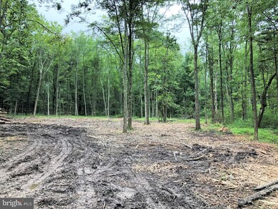 0 Cepp Rd unit 1002144190, Perkiomenville, PA 18074 - photo 4