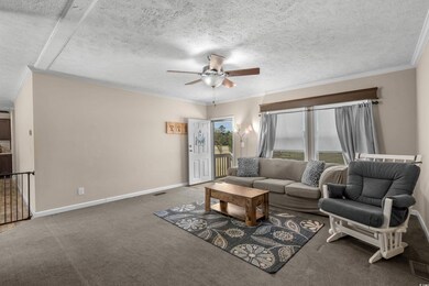 Carpeted living area with baseboards, ceiling fan, ornamental molding, and a textured ceiling