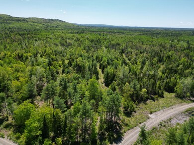 DJI_0004