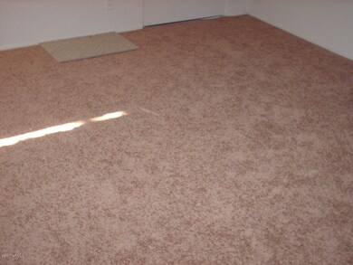 NEW CARPET