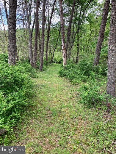 1533 Constant Run Rd, Great Cacapon, WV 25422 - photo 4