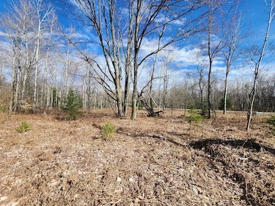 Lot 1829 Sandpiper Trail, Otsego Lake Township, MI 49735 - photo 6