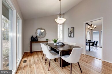 8613 Carlynn Dr, Bethesda, MD 20817 - photo 6