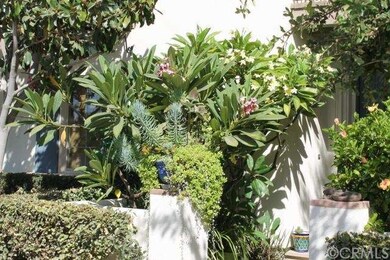 Beautiful front patio foliage.