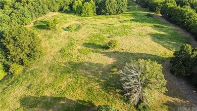 400 Fowler Spring Rd, Saint Joe, AR 72675 - photo 5