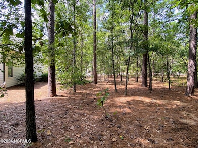 back of lot towards street