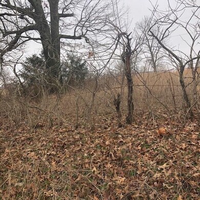 0 Fletcher Wc 751 Rd unit 1172199, Fayetteville, AR 72704 - photo 3