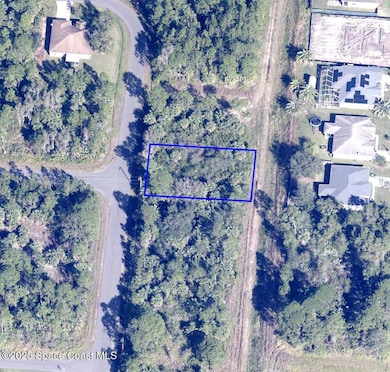 2707 Fitzpatrick Ave SW, Palm Bay, FL 32908 - photo 4