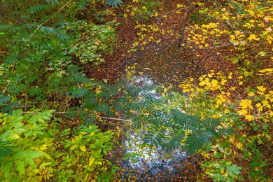 EJI_0488.jpg-SMALL