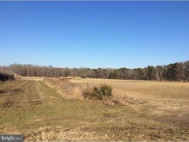 L1 Piney Hollow Rd, Newfield, NJ 08344 - photo 7