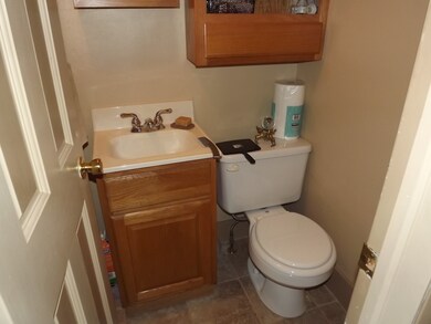 310 N 2nd St, Danforth, IL 60930 - photo 4