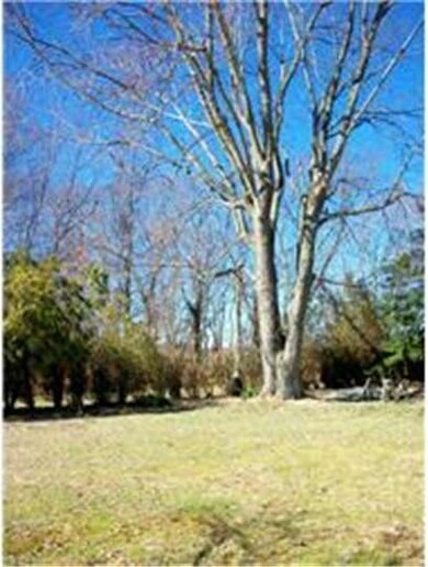 286 Bridgeton Pike, Mullica Hill, NJ 08062 - photo 5