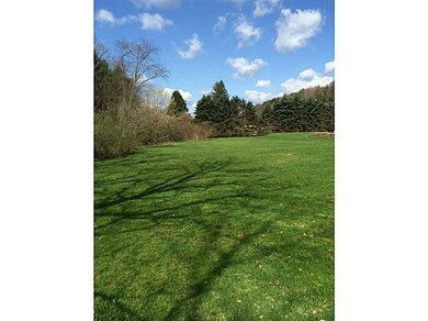 Yard/Garden.