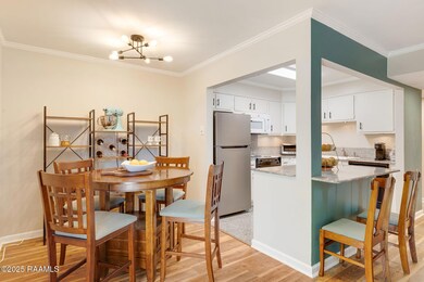 211 Versailles Blvd unit 5, Lafayette, LA 70501 - photo 6