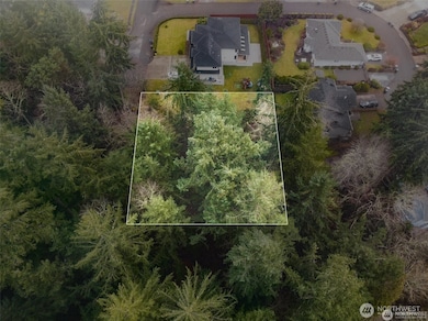 2514 Shepard St, Steilacoom, WA 98388 - photo 3