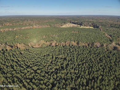 0 Whiddon Rd unit 4133259, Canton, MS 39046 - photo 4