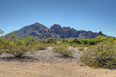 Lot View (4) (1)