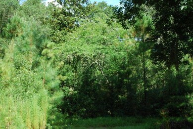 View of Back Yard