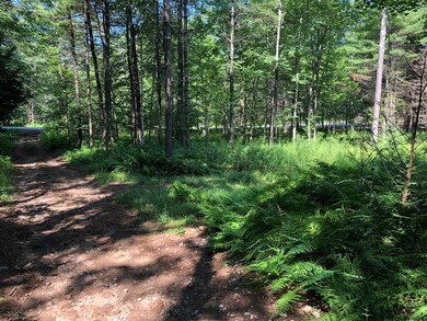 L203 Shippee Rd, Day, NY 12822 - photo 5