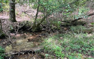 Additional View