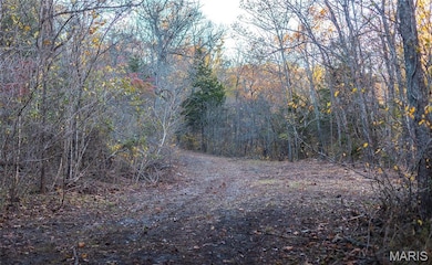 875 Walnut St, Newburg, MO 65550 - photo 7