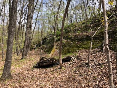 0 Lily Lake Rd unit KEY908782, Lloyd, NY 12528 - photo 3