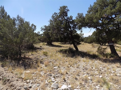 0 Mill Run Rd, Mosca, CO 81146 - photo 2