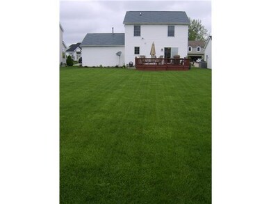 Yard/Garden