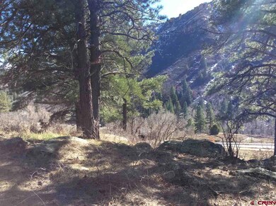 0 Aster Ln unit 729665, Durango, CO 81301 - photo 6