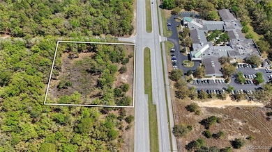 161 W Norvell Bryant Hwy, Hernando, FL 34442 - photo 3