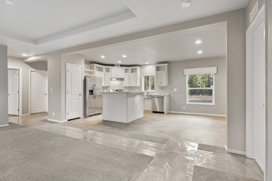 3833 Meadowlark Way, Loon Lake, WA 99148 - photo 3