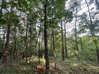 1063 Mayfield Ln NE, Ranger, GA 30734 - photo 2