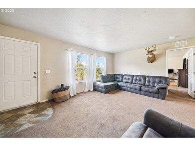 31754 Camas Swale Rd, Creswell, OR 97426 - photo 4