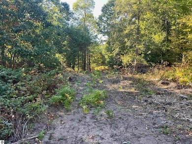 4735 Leaning Birch Dr unit 1, Traverse City, MI 49685 - photo 5