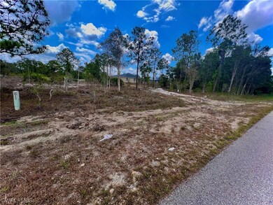 827 Dudley Ave S, Lehigh, FL 33974 - photo 2