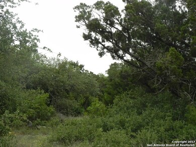 8518 Terra Mont Way, San Antonio, TX 78255 - photo 6