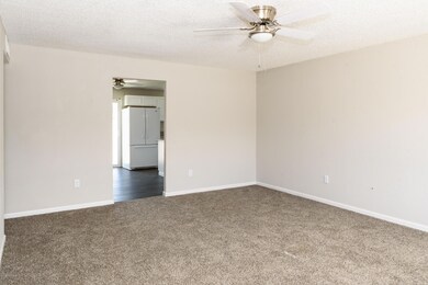 Palm Lane Real Estate Photos-104