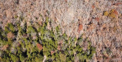 11.8 Acres Whitetail Way, Cole Township, MO 65338 - photo 3