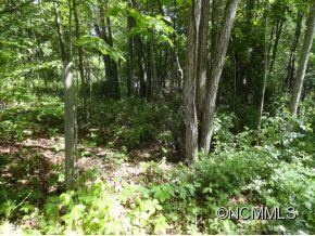 Lot # 13 - nice homesite