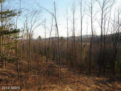 0 Middle River Forest unit 1003066710, Stanardsville, VA 22973 - photo 3